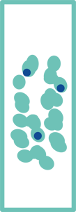 DesAcc_icon_rgb_teal_slide
